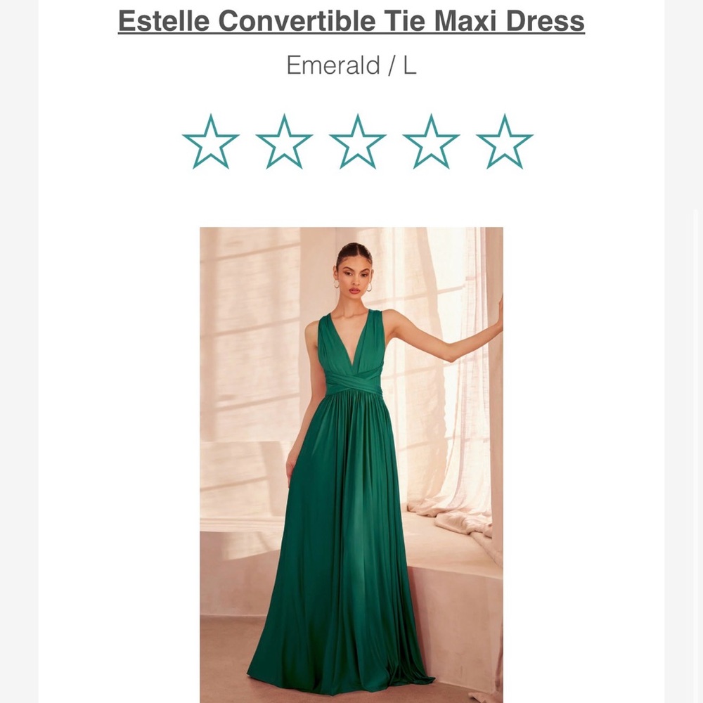 Lady Black Tie brand Elegant Green Evening Gown - Picture 2 of 11